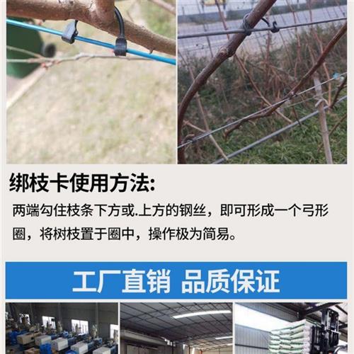 极速葡萄绑枝卡绑枝卡子绑枝x卡扣奇异果挂钩绑枝机绑滴灌卡厂家