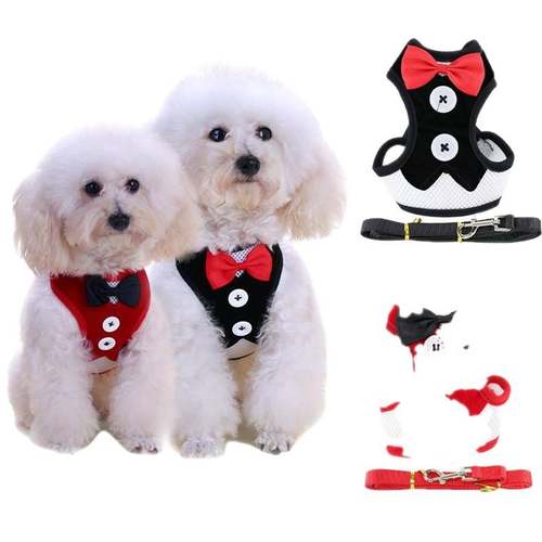 极速Dog Cat Harness Leash Cuyte Bow Knot Adjustable Chest Be