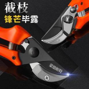 极速。绿化带修花剪刀树子修枝剪蔬菜家K用加厚花枝花卉庭院大修