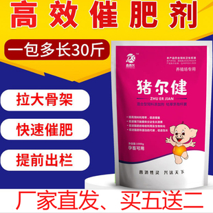 极速添加剂猪饲料猪催肥剂猪育肥增重饲料曙睹R光华牧猪儿健增长