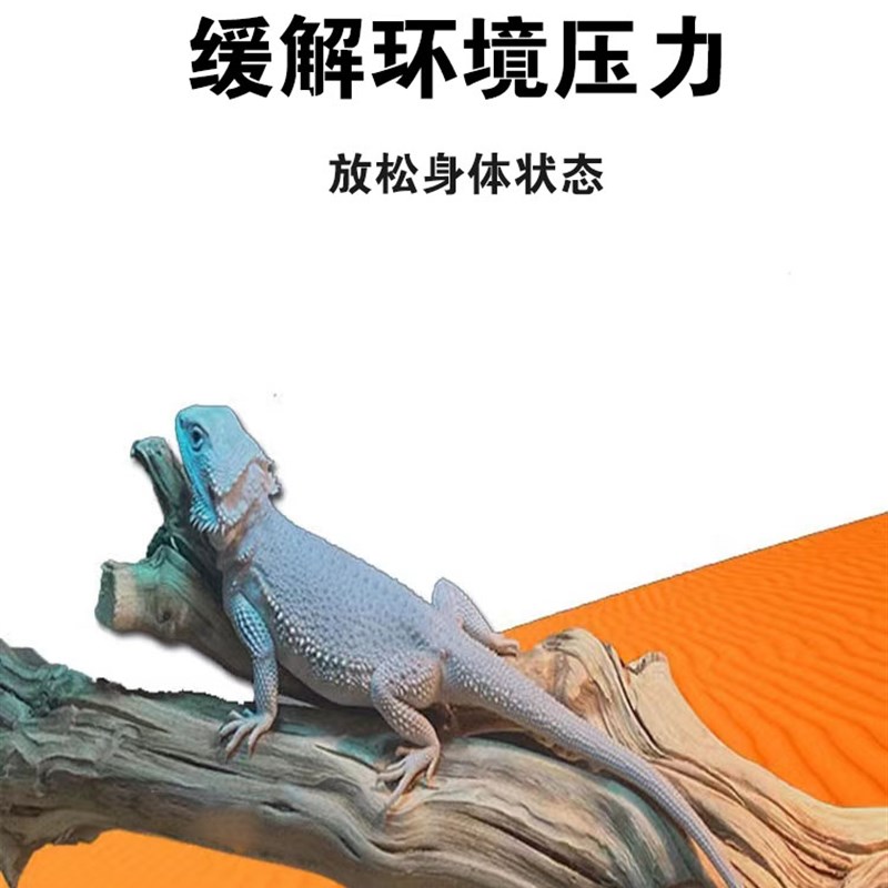 极速爬宠霸王藤木雨林缸造景守宫鬃狮蜥蜴睫角蛇攀爬X藤条树栖天