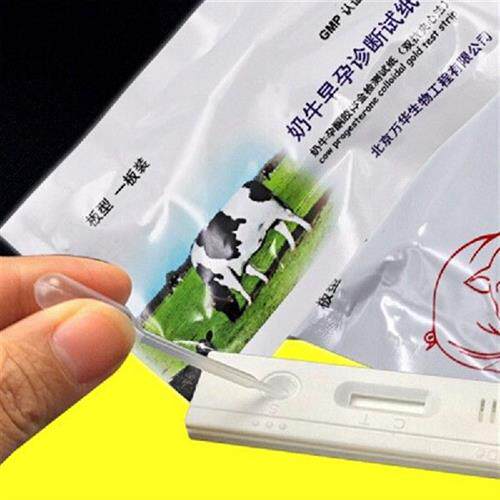 新品Pregnancy Test Strip Easy OperationK Pig Pregnancy Test