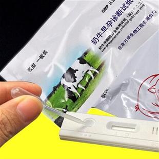 OperationK 新品 Pig Easy Strip Pregnancy Test