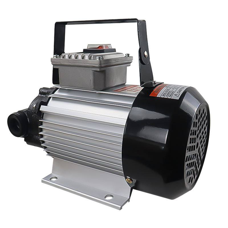 极速。威路仕 大功率齿轮泵电动抽油泵柴油220v液U压油抽油机机油,农用物资,苗木固定器/支撑器,淘宝优惠券,粉丝福利购,淘宝优惠卷