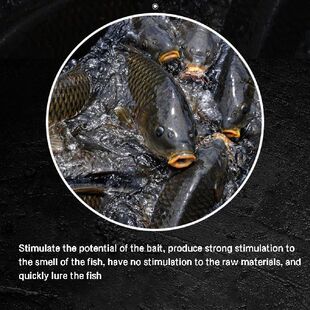 极速Fish Bait Attractant Nest Material Herring BaitZ Wild