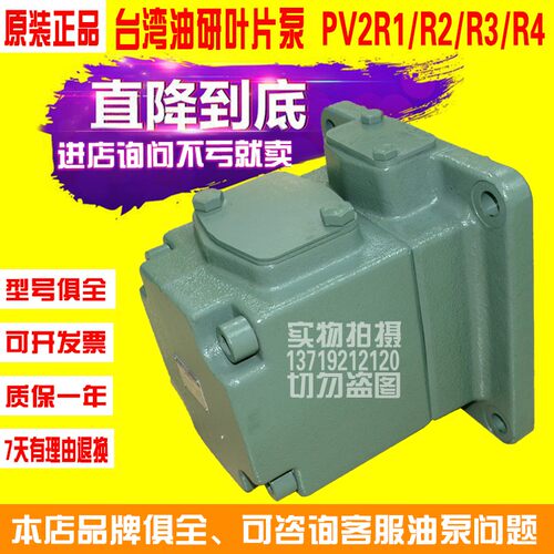 极速。油研PV2R1-8-F-R叶片泵PV2R2-65油I泵PV2R3-70液压帮浦PV2R