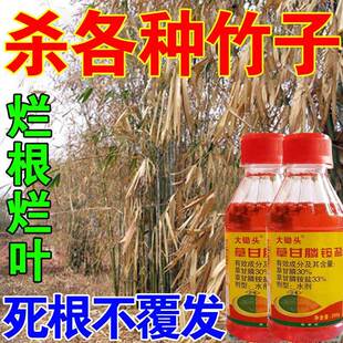 极速杂竹净竹杀竹子烂根药专用灭竹王竹根O清打大竹的除剂喷雾