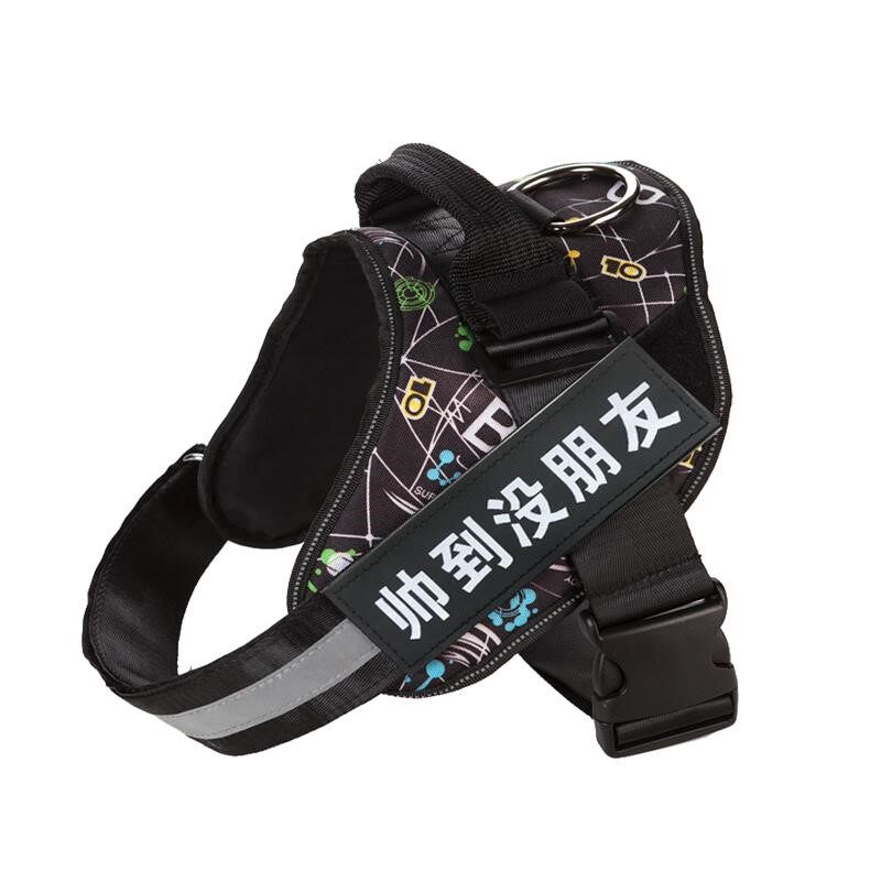 新品项圈中大犬法恶霸牵引狗狗脖F套绳狗牛法斗宠物脖圈小型