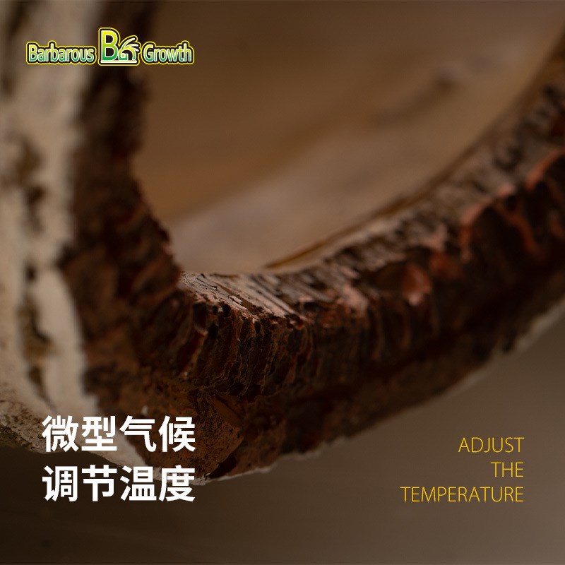 极速守宫b蜥蜴宠物蛇仿真白桦木躲避洞穴爬宠帮助蜕皮造景攀爬树