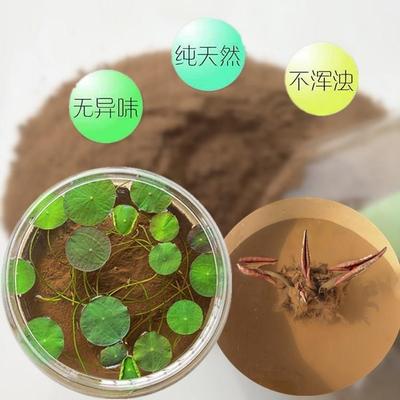极速睡莲荷花不浑水碗莲专用土荷B花泥淤泥河泥水培正宗荷塘泥河