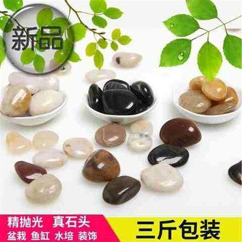 极速布景风水纯白苏派造景水草石子石春卵L石石头白色用品鱼新