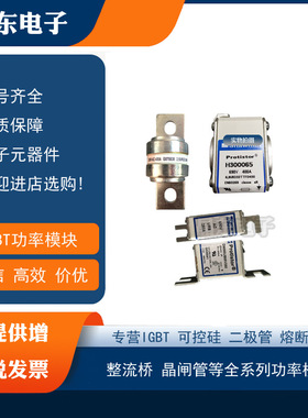 热销罗兰熔断器A070UD30TTI350 S300580  A070UD30TTI400 T300581