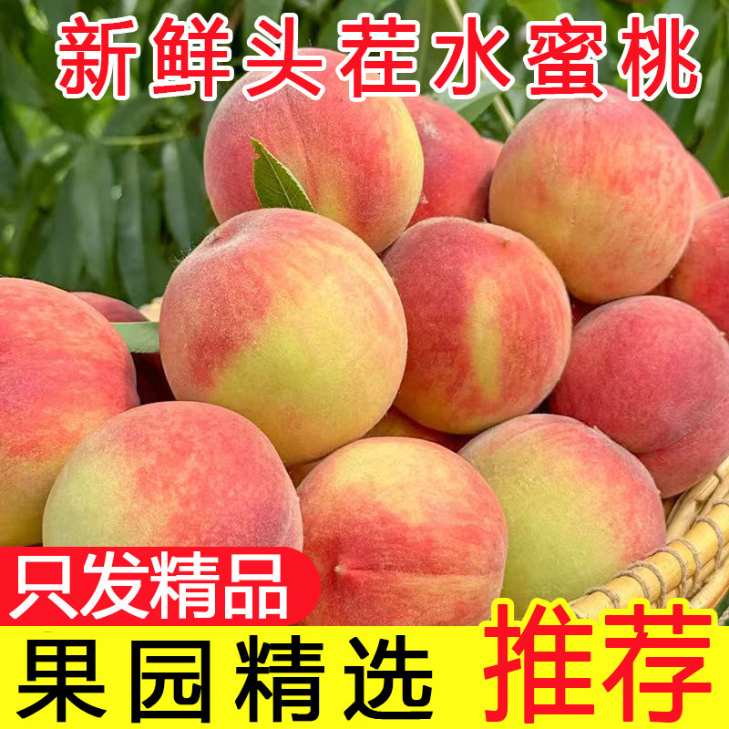 桃子水蜜桃新鲜水果当季整箱5斤脆甜红心红肉血桃毛桃时令5现摘