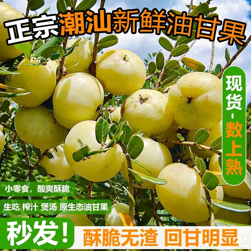 潮汕新鲜柿饼甜油甘果余甘果甜种牛甘子孕妇腌制榨汁泡酒甜种油柑