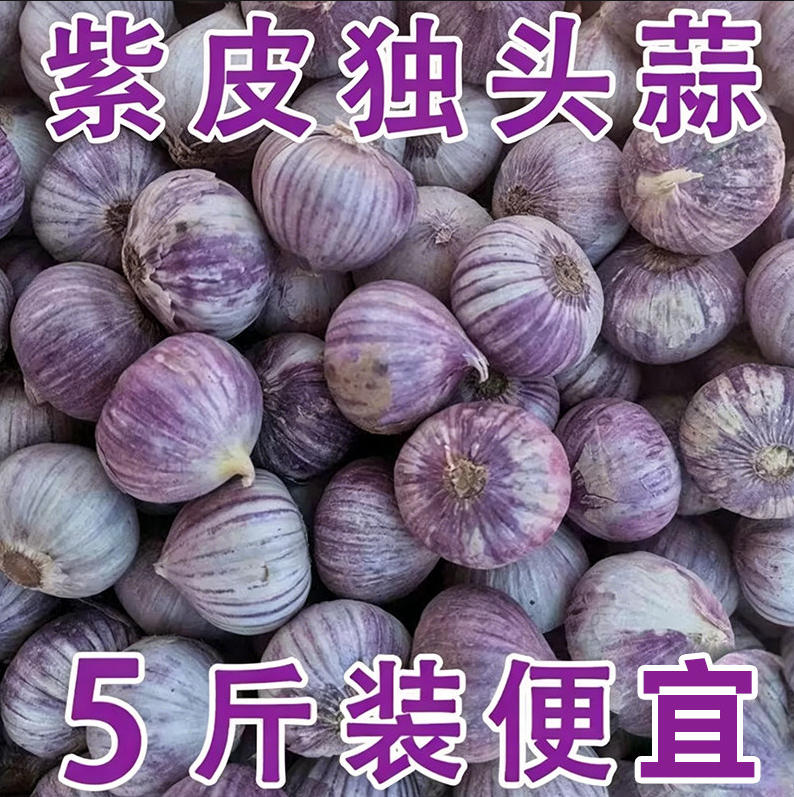 云南大理独头蒜5斤紫皮蒜新鲜蔬菜独蒜头新蒜鲜蒜头糖醋蒜湿蒜头
