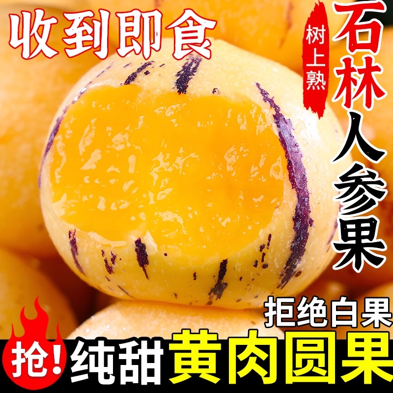 正宗新鲜人参果云南石林树上熟黄肉超大果当季整箱包邮人生果水果
