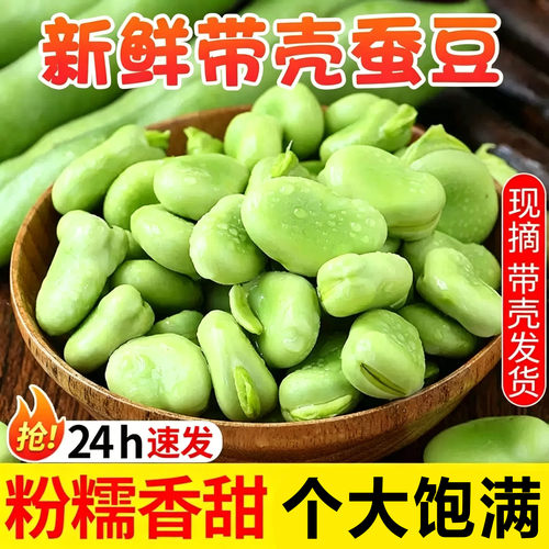蚕豆农家胡豆新鲜现摘带壳嫩生罗汉豆兰花青豆荚5斤蔬菜整箱包邮