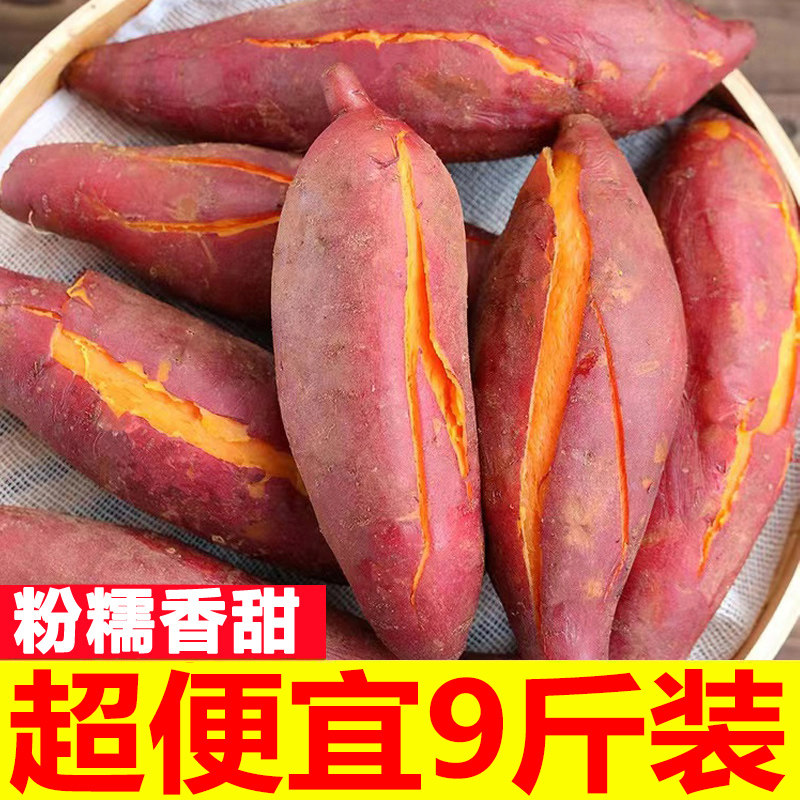 现挖红薯板栗红薯沙地糖心地瓜非小香薯西瓜红烟薯25号番薯香薯