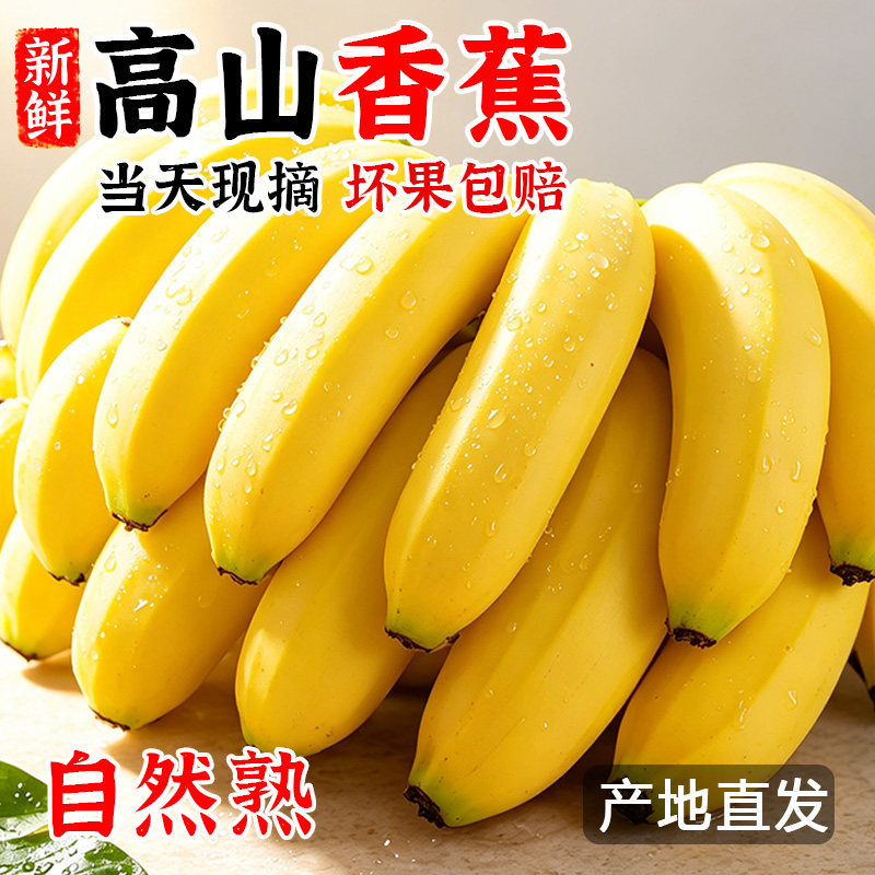 广西高山青皮香蕉现摘现发自然熟香甜软糯整箱新鲜应季水果包邮