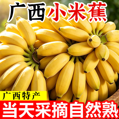 广西小米蕉【特价抢5斤】！
