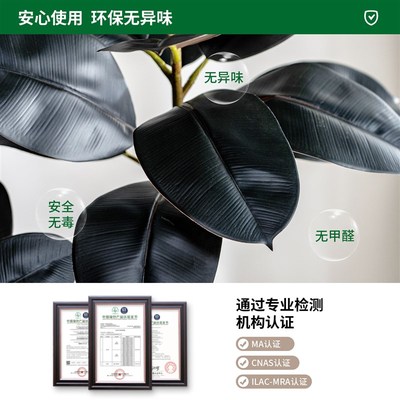 高级感黑金刚橡皮树n仿真绿植室内假树盆栽仿生植物造景观装饰摆