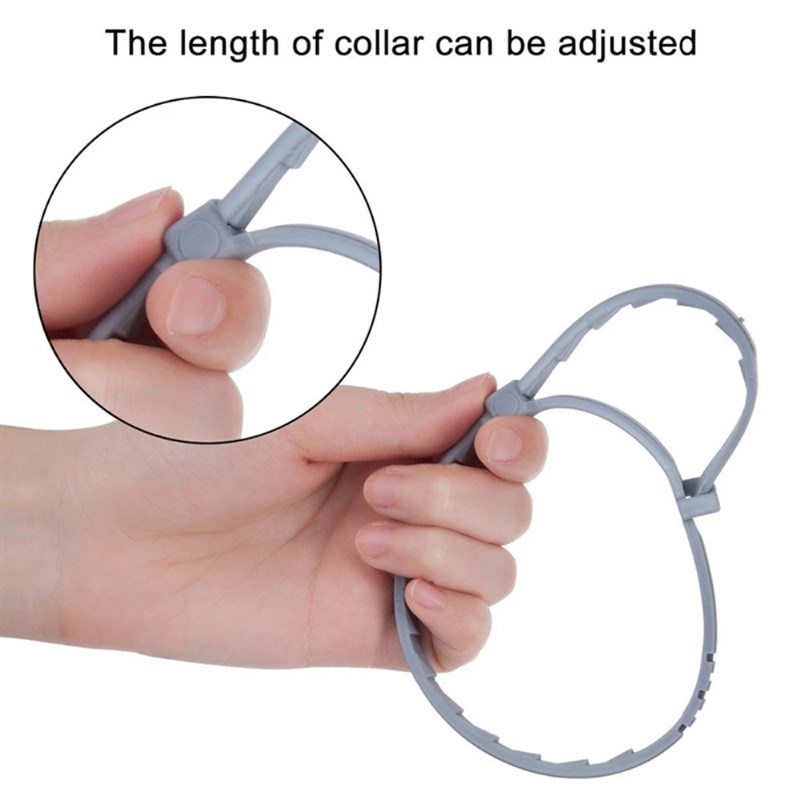 极速New 8 Month Flea & Tickw Prevention Collar perro for Cat