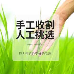 极速提摩b西草干草兔子荷兰猪饲料兔粮牧草提木西龙猫草粮草料食