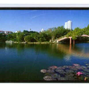 9玻珠120英寸电动遥控投影幕布 LnTS 极速全新莱特斯