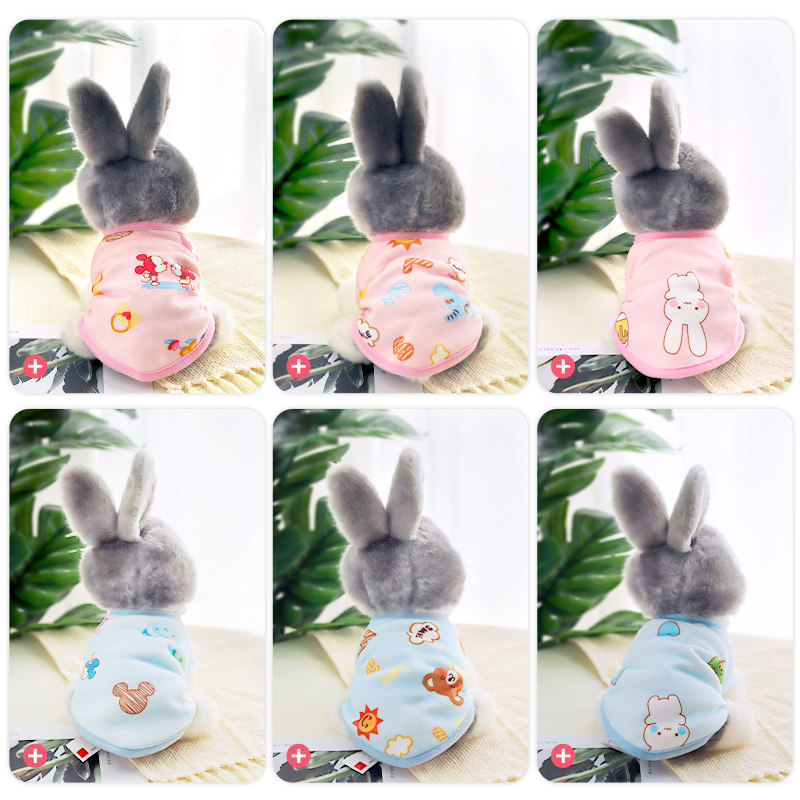 极速兔子衣服秋冬j保暖衣服荷兰猪侏儒小兔子服饰兔兔垂耳冬装幼,宠物/宠物食品及用品,兔兔服饰,淘宝优惠券,粉丝福利购,淘宝优惠卷