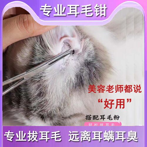 乐比不锈钢狗狗拔耳毛钳止血钳直
