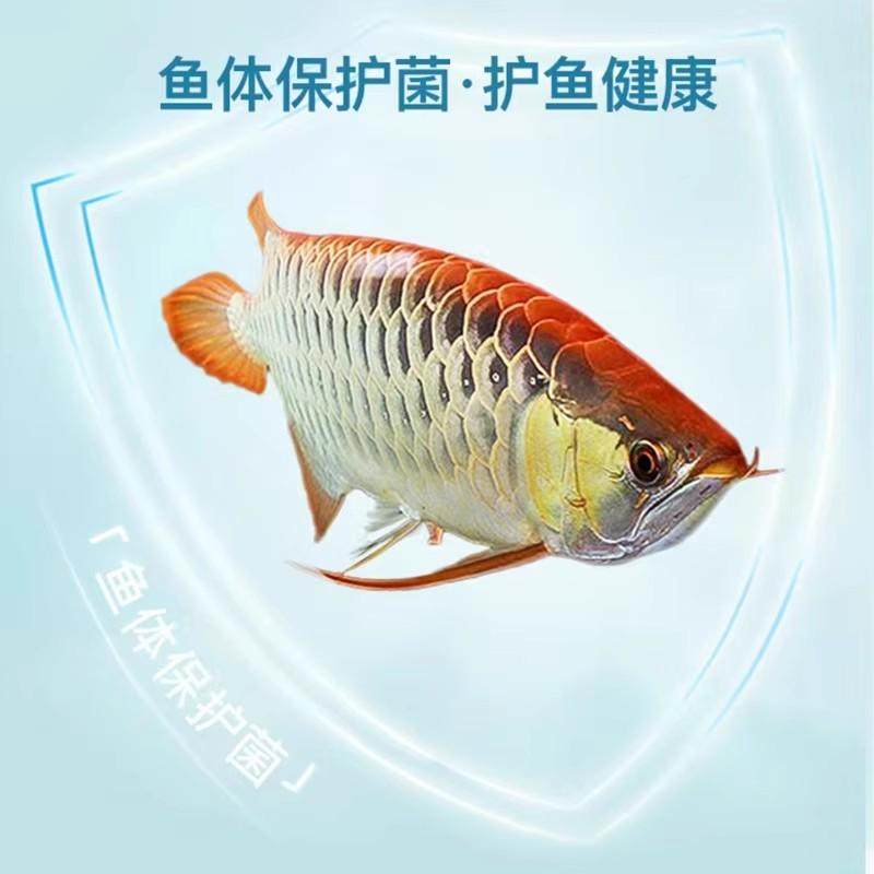 硝化细菌鱼缸用硝化菌硝化菌活菌稳定剂水质清澈剂净水剂养鱼用品,宠物/宠物食品及用品,硝化细菌,淘宝优惠券,粉丝福利购,淘宝优惠卷