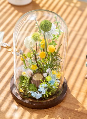 阿楹 incs微景观绿植治愈摆件花猫咪工位玄关电视柜装饰玻璃瓶礼