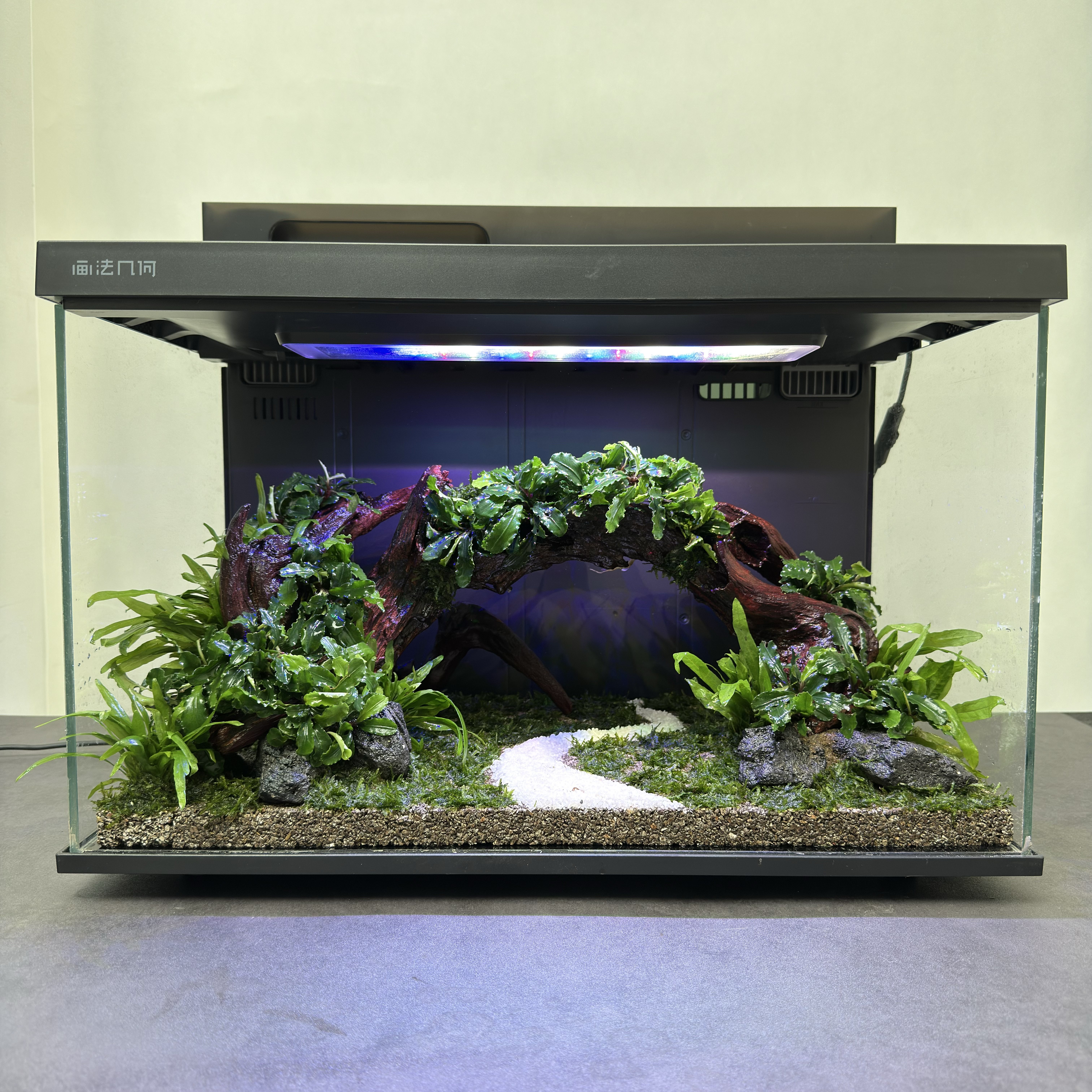 鱼缸造景画法几何ultra鱼缸成品森林造景沉木石头水草造景套餐