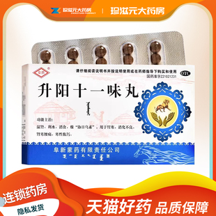 阜药 升阳十一味丸60粒/盒