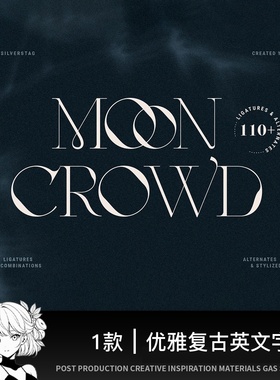 优雅复古酸性海报杂志Logo设计标题衬线英文字体素材OTF