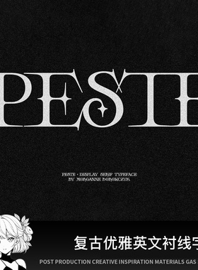 英文字体高级感衬线风fcpx pr procreate免费商用ps ai字体包下载