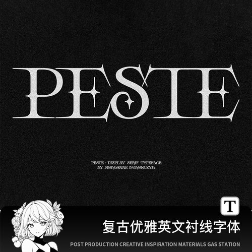 英文字体高级感衬线风fcpx pr procreate免费商用ps ai字体包下载