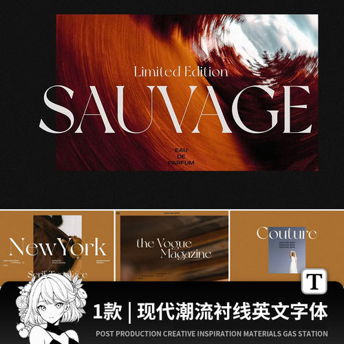 现代简约潮流衬线英文字体杂志海报标题logo品牌标识字体ps素材AI