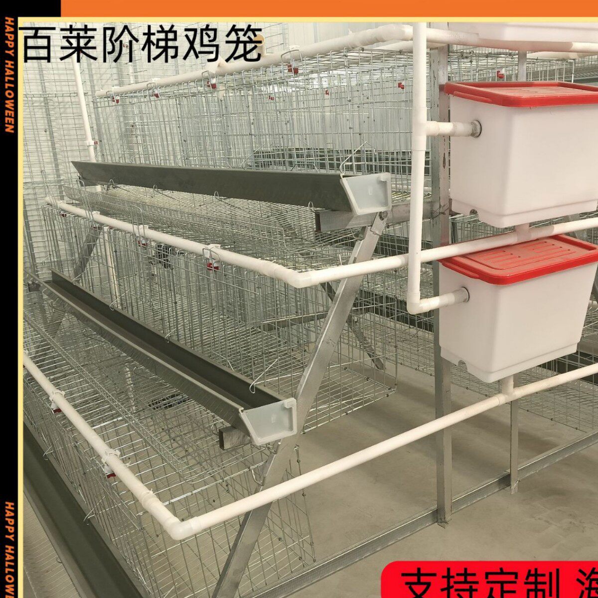 耐用型阶梯蛋鸡笼 使用寿命长 笼底加密防漏蛋 通风性好 降低鸡群