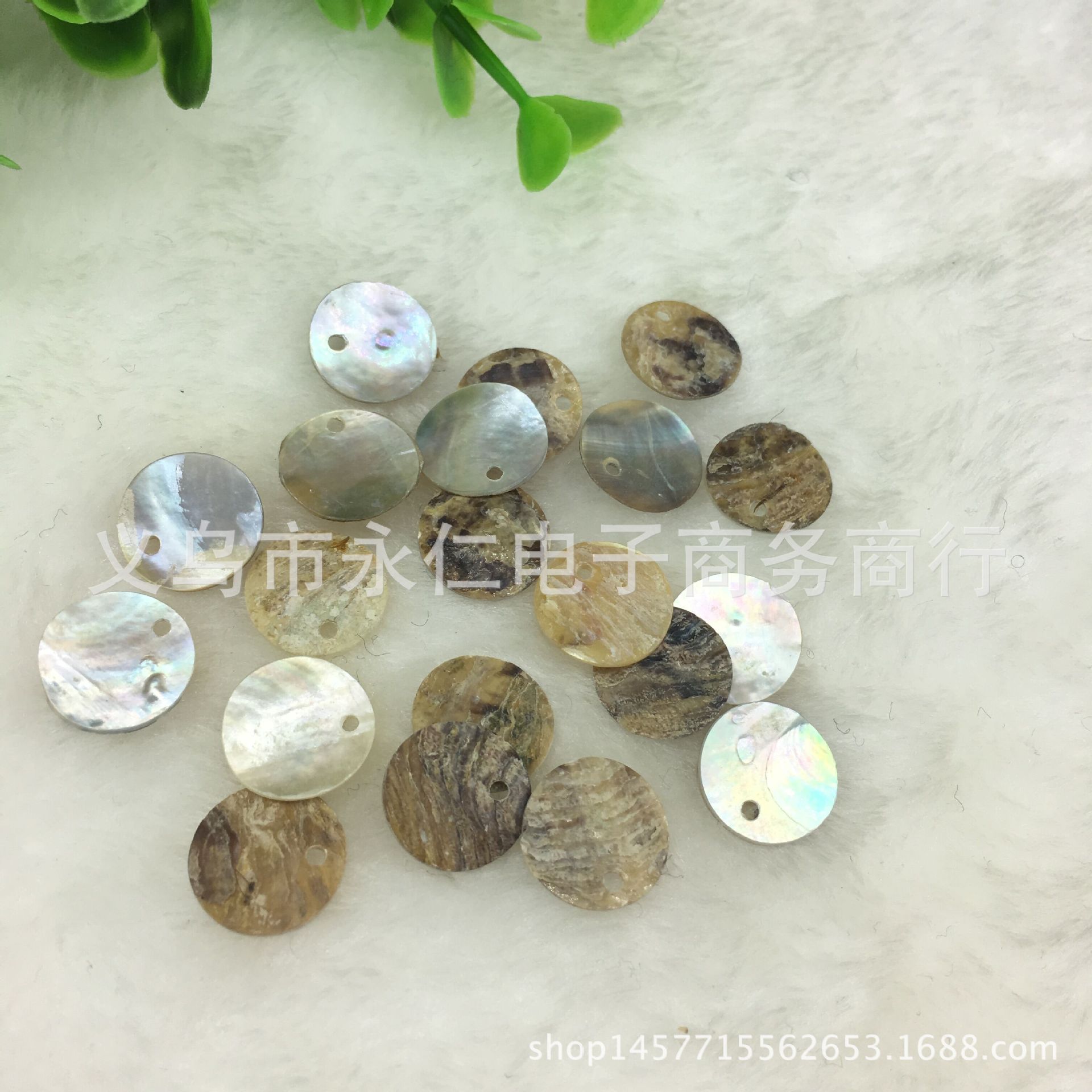 边孔贝壳高档羊毛衫天然单眼马司贝壳钮扣DIY饰品配件