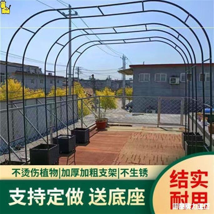 铁艺拱门花架蔷薇爬藤架葡萄架丝瓜铁线莲月季花架户外庭院花支架
