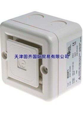 e2s 电子报警器 SONF1DC24W 10音调, 10-30v直流, 白色, IP66