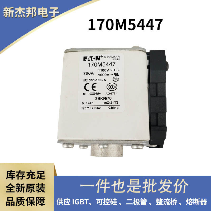 170M3819D  170H0236  170M6498 全新原装 快速熔断器货号齐全