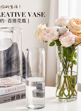 特大玻璃花瓶摆件客厅插花透明富贵竹水养马醉木落地ins风高级感