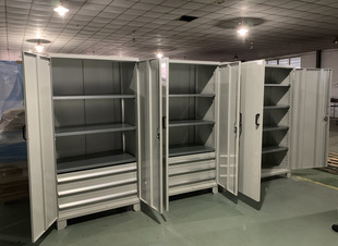 青岛大进 玻璃门置物柜   DJC-106018FK-3-2-08