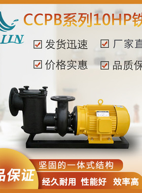 铸铁水泵泳池设备 CCPB泳池水池循环泵 过滤铁泵泳池温泉专用