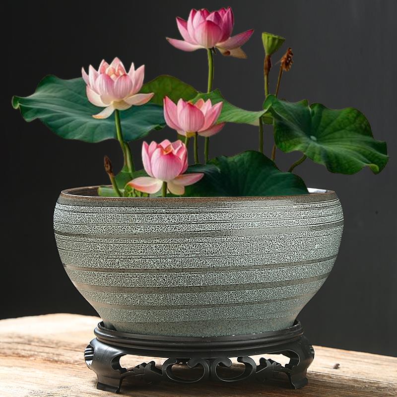 多款无孔盆大号碗莲专用盆深莲花盆睡莲一叶莲缸铜钱草复古陶瓷盆