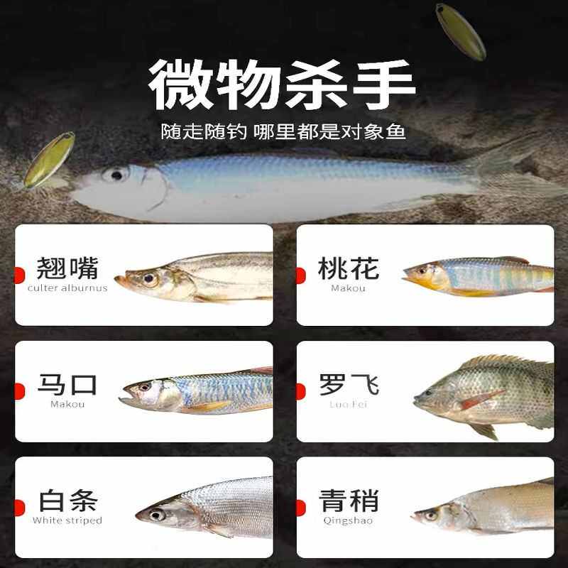 ［天外寻仙］15mm大甲虫瓜子亮片5只装子线双钩马口白条微物亮片
