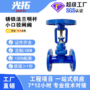 铸铁法兰小口径闸阀 Z41X-16Q明杆/暗杆 DN25 DN32法兰挼密封闸阀