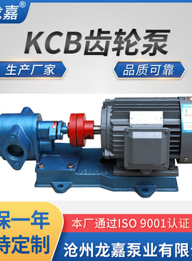 厂家供应KCB960齿轮泵KCB-83.3/55/33.3/18.3齿轮泵输油泵抽油泵